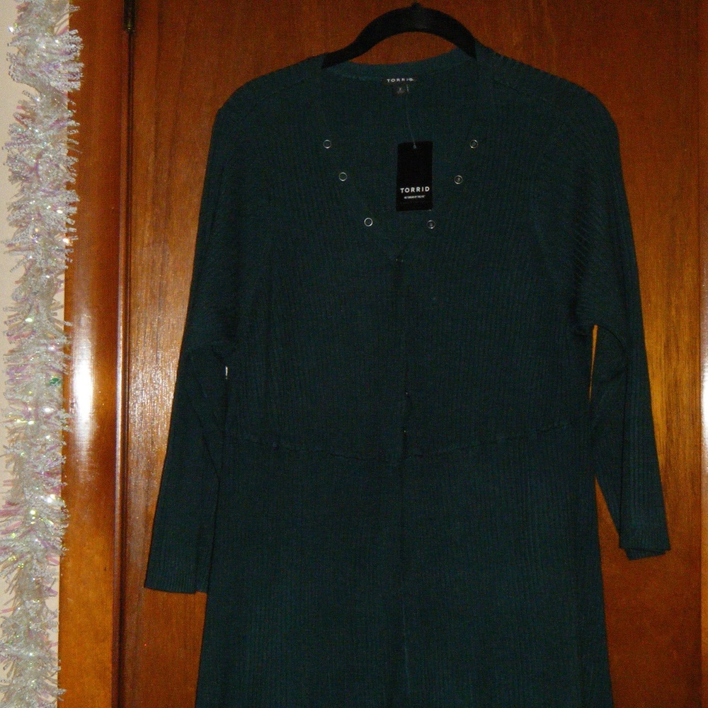 Torrid  Green Sweater Dress